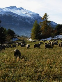 Photo du Dvoluy