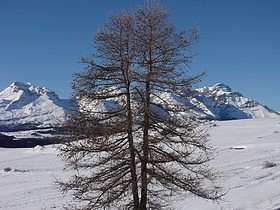 Photo du Dvoluy Hiver