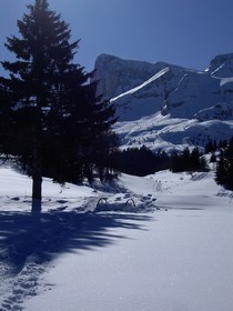 Photo du Dvoluy Hiver